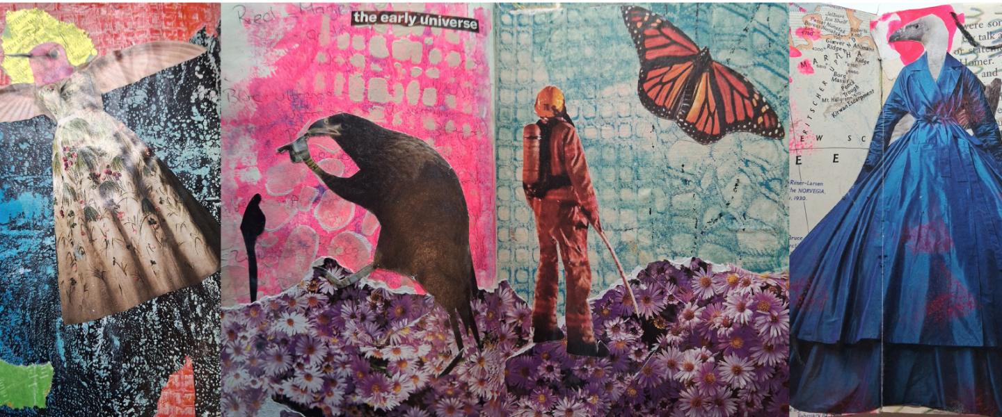 A series of 4 collages featuring birds.