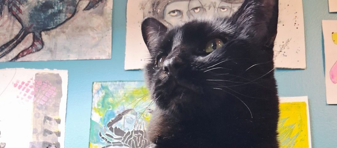 A black cat sitting on my desk.