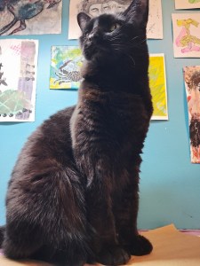 A black cat sitting on my desk.